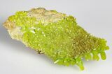 Apple-Green Pyromorphite Crystal Cluster - China #179815-2